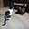 Wendy Swantek's profile image