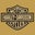 Dorothy Basile's profile image