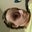 Andrew Barnes's profile image