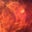 Stoy Madison's profile image