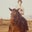 Christopher Gallaga's profile image