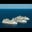 J C's profile image