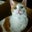 Stephanie Sheehy's profile image