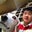 Jiehan Zheng's profile image