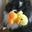 EvaInGreatLakes's profile image