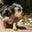 Rebecca Alamos's profile image