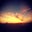 Teresita Romo's profile image