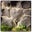 Karen Andersen's profile image