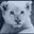 Sheron Fields's profile image