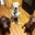 Dawn Jennings Staeger's profile image
