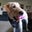 Jennifet Hillringhouse's profile image