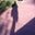 Terri Trawick's profile image