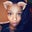 NiColEoFtHeDeAd©'s profile image
