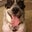 Rick Siegler's profile image