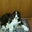 Michael Fernald's profile image