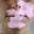 Ola K's profile image
