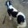 Michael Hatfield's profile image