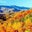 Russ Gergely's profile image