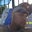 Ron Teen's profile image
