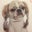 kb's profile image