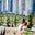 Mariam Rivera's profile image