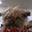 Laura Loftin's profile image