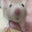 Meghann Jaquette's profile image