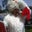 Mel Osborne's profile image