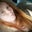 April Lynn's profile image