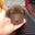 Chris Cox's profile image