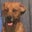Jessica York's profile image