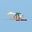 Java MiZaBa's profile image