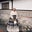 Sue Ann Hall's profile image