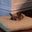 Coley Dize's profile image