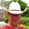 James Rollins's profile image