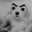 Richard R.'s profile image