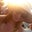 Kayla B.'s profile image