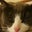 Tim Wilkinson's profile image