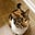 Noway Jose's profile image