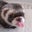 Donna Bee's profile image