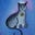 Kristine Murphy's profile image
