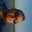 Rene Ruiz's profile image