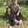 Stephen Cox's profile image