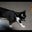 Bob Bradshaw's profile image