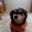 Julie Smith's profile image
