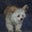 Julie Chetney's profile image