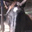 Jamie Sherman-Novacek's profile image