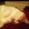 Shannon Kerler's profile image