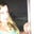 Jayme Alderman's profile image