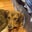 Matthew Wenzinger's profile image